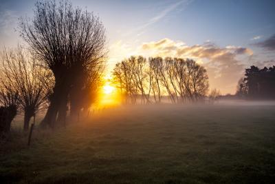 Herfst Beveren middenheide zonsopgang copyright Bruno Stevenheydens
